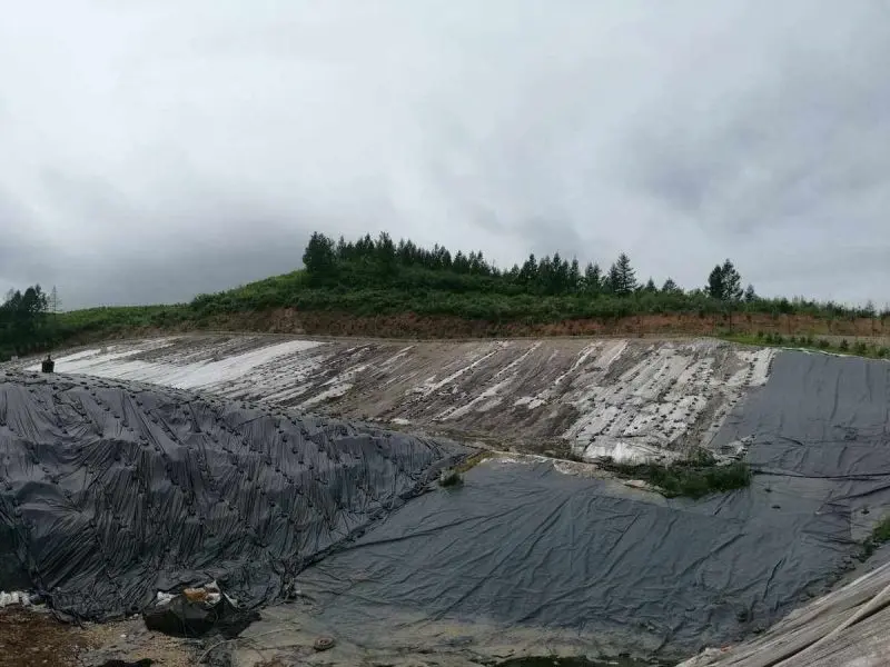 Revestimiento de arcilla geosintética para estanques D